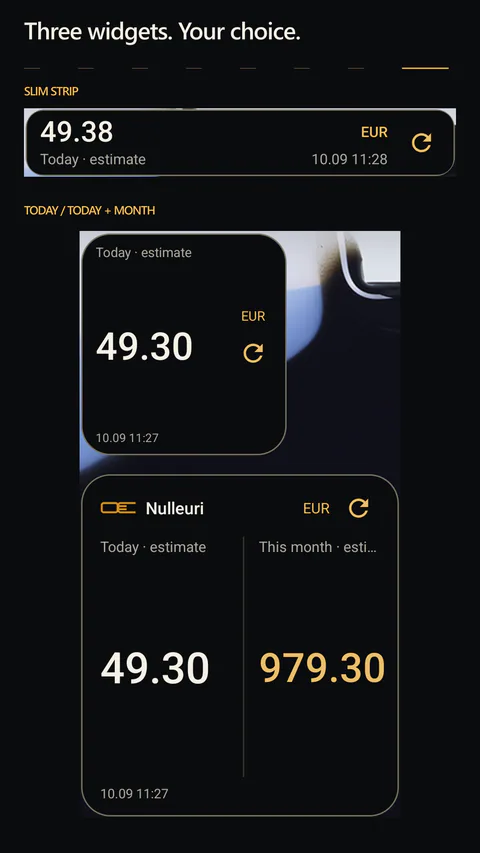 Nulleuri - Three home-screen widget styles with timestamped income snapshots.